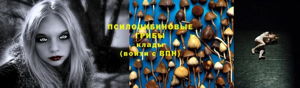 индика Волоколамск