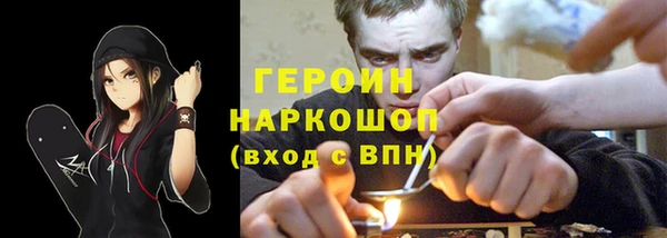индика Волоколамск
