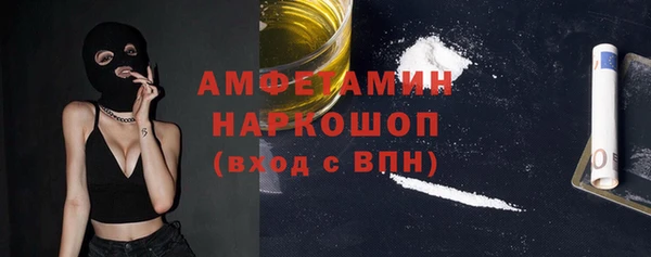 индика Волоколамск