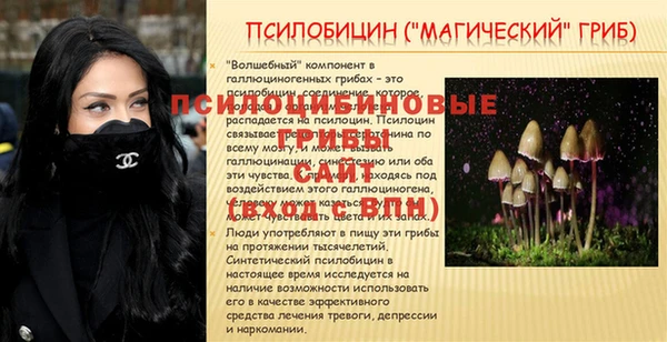 шишки Слюдянка