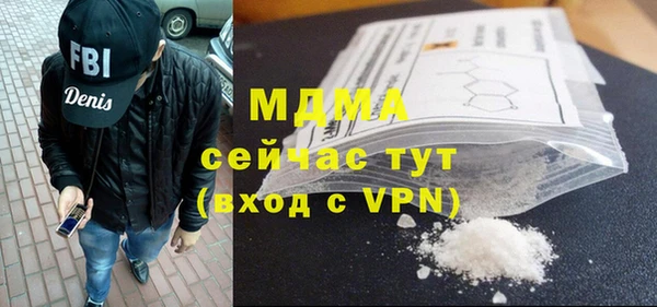 индика Волоколамск