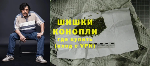 индика Волоколамск