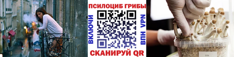 Псилоцибиновые грибы Psilocybe  Истра 
